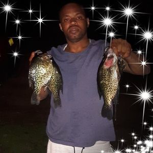 Meet your Posher, Remmi